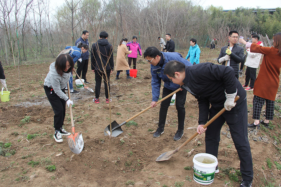 2021植树活动